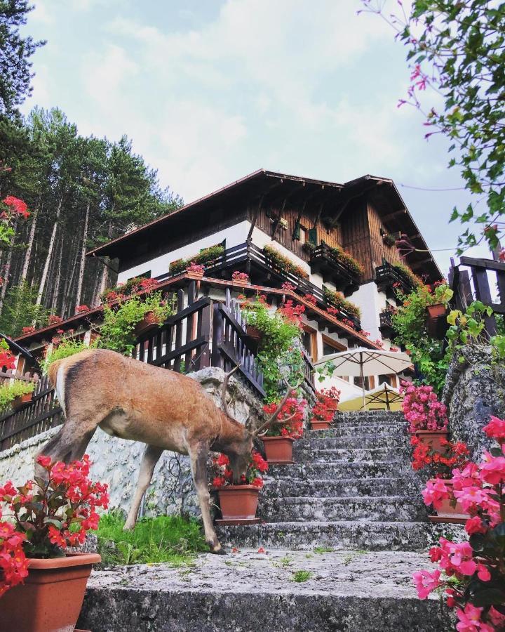 Garni Mille Pini Hotel 3*